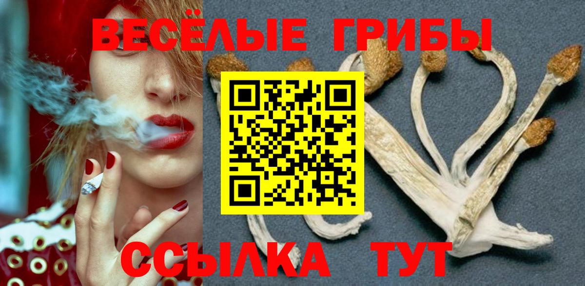 COCAIN Качканар