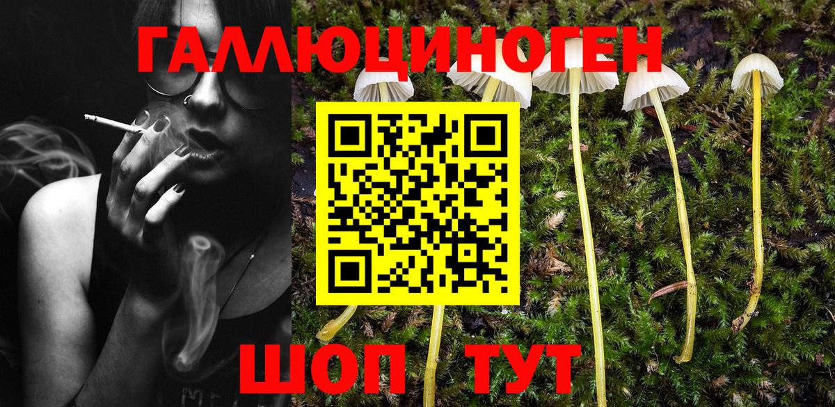 Псилоцибиновые грибы Psilocybine cubensis  Вход с VPN  Качканар 